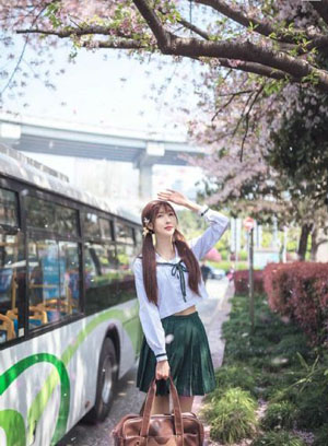 狐狸在手
