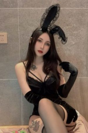 貘是什么动物