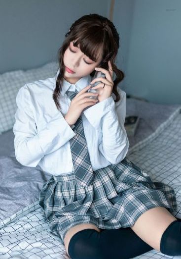 艳丽的母亲柴犬