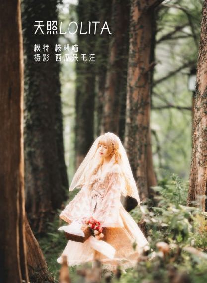 成全免费高清大全