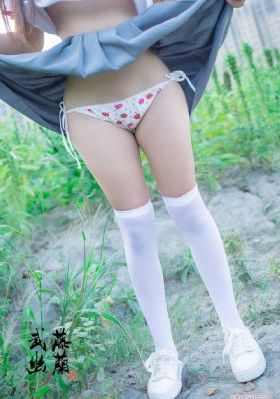 纳粹荒淫史