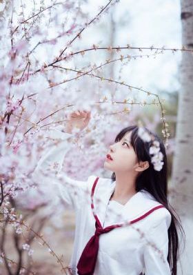 猫的报恩